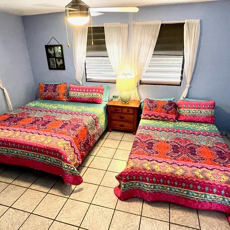 Esperanza Inn Guesthouse (Adults Only) Vieques Bilik gambar