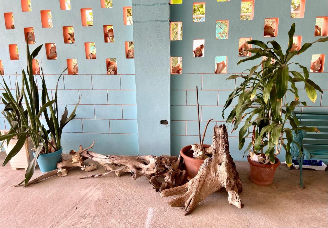 Esperanza Inn Guesthouse (Adults Only) Vieques Luaran gambar