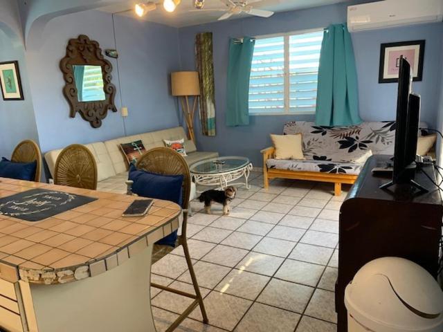 Esperanza Inn Guesthouse (Adults Only) Vieques Luaran gambar