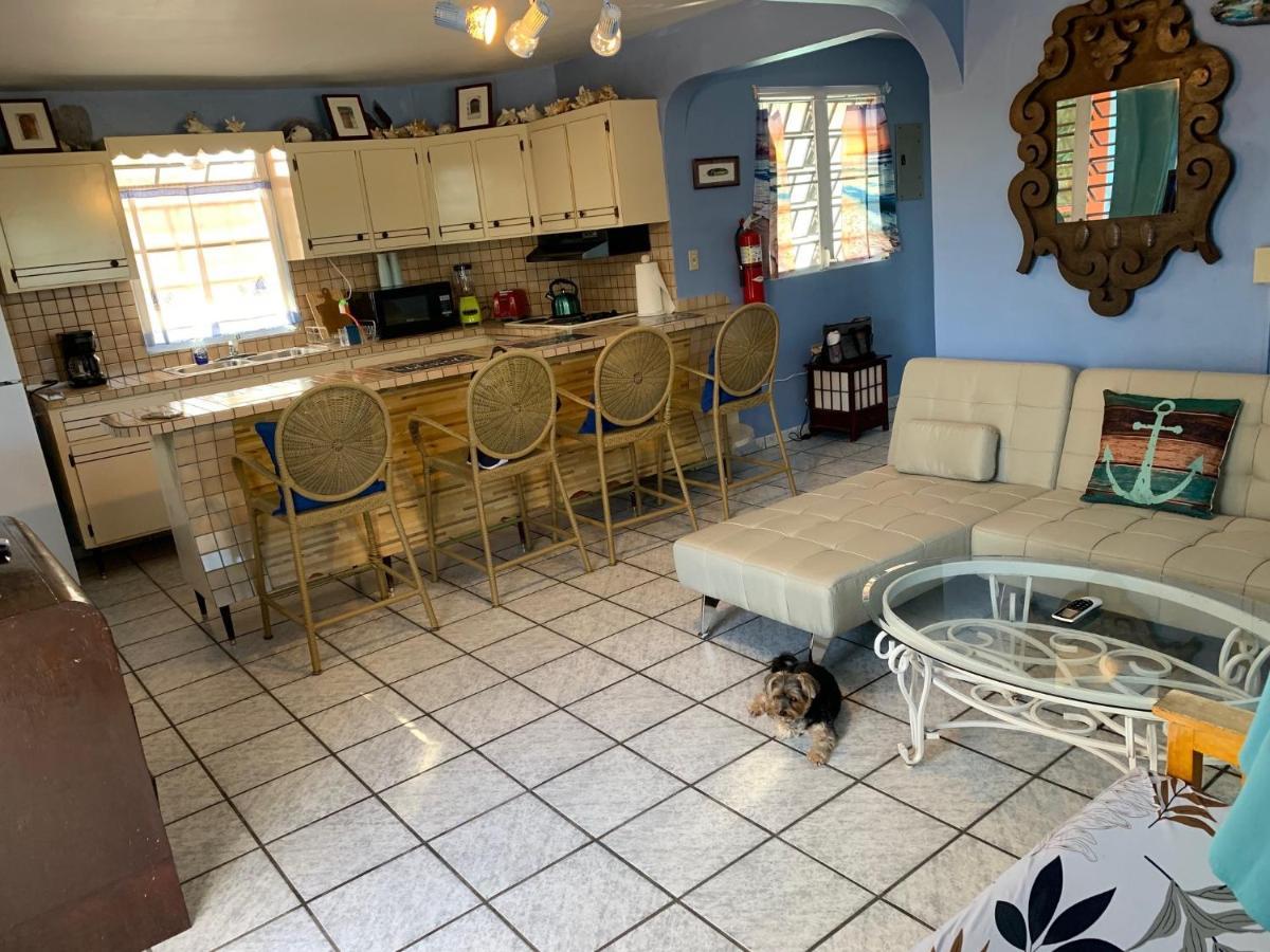 Esperanza Inn Guesthouse (Adults Only) Vieques Luaran gambar