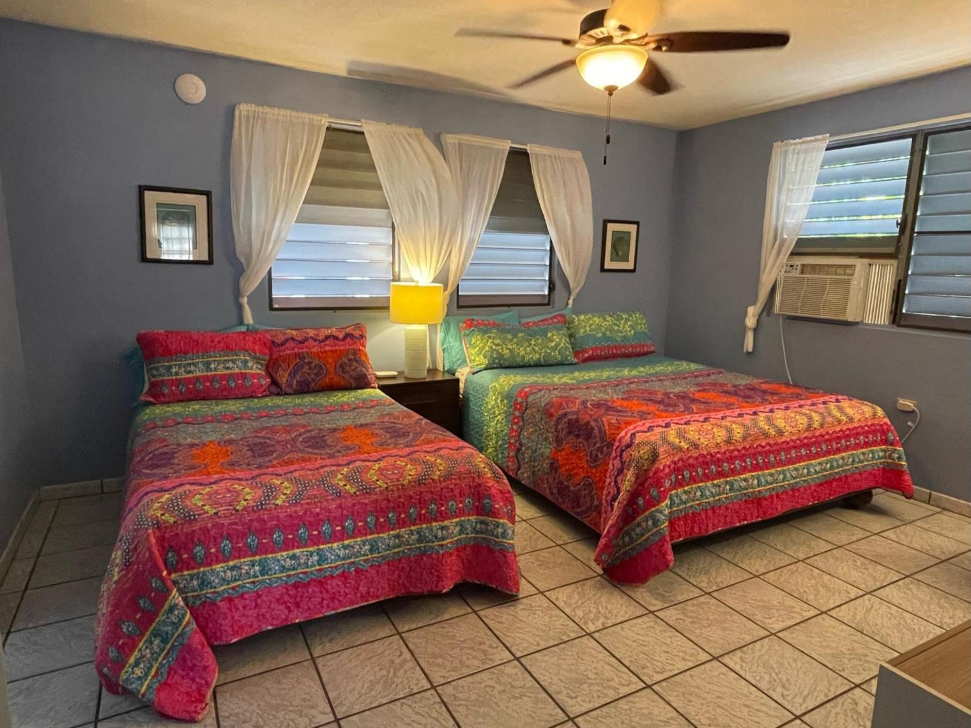 Esperanza Inn Guesthouse (Adults Only) Vieques Bilik gambar