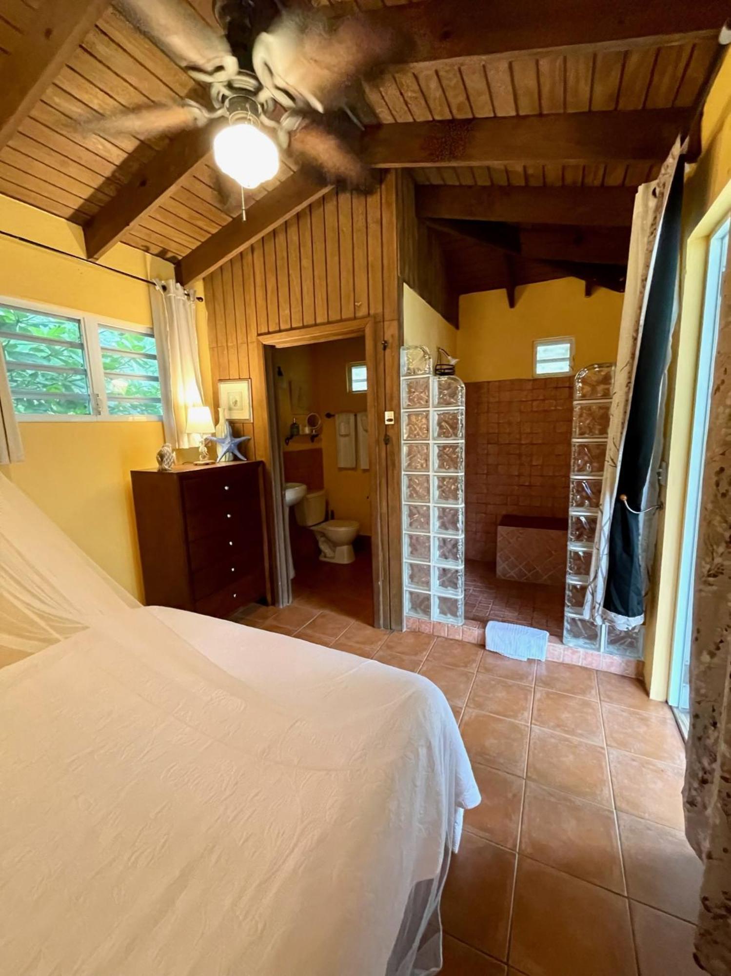 Esperanza Inn Guesthouse (Adults Only) Vieques Bilik gambar