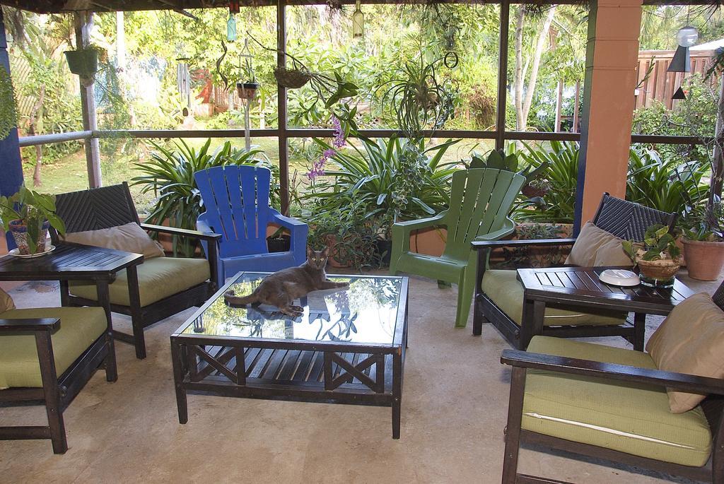 Esperanza Inn Guesthouse (Adults Only) Vieques Luaran gambar