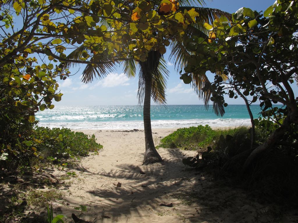 Esperanza Inn Guesthouse (Adults Only) Vieques Luaran gambar