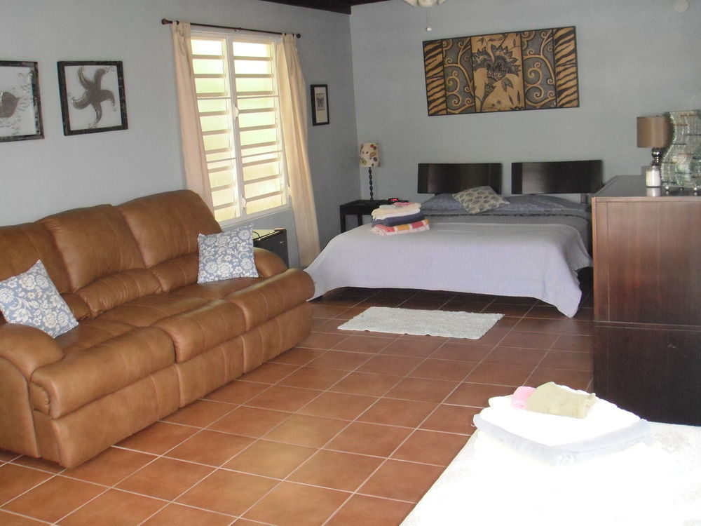 Esperanza Inn Guesthouse (Adults Only) Vieques Luaran gambar